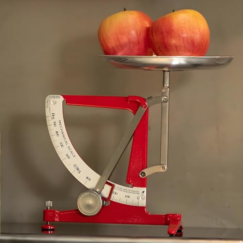 Mechaniczna waga kuchenna z wahadłem ze stali nierdzewnej i aluminiową tacą do precyzyjnego gotowania, pieczenia i pomiarów naukowych