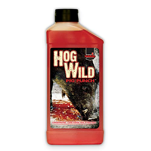 EVOLVED HABITATS Hog Wild Pig Punch Liquid Concentrated Habit-Forming Long-Range Hog Attractant with Irresistible Fruit Punch Taste - 40 Oz