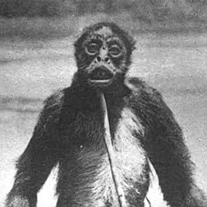 Episode 100 - Nazi Monkey