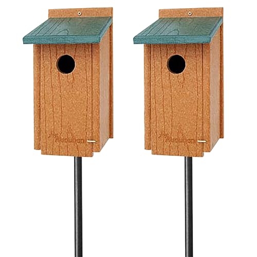Audubon Premium Bluebird House Package with Poles 2 Recycled Plastic Bluebird Houses with Nest Lifts, Mounting Adapters & Erva Deluxe Birding Poles Durable Green & Brown Outdoor Birdhouses