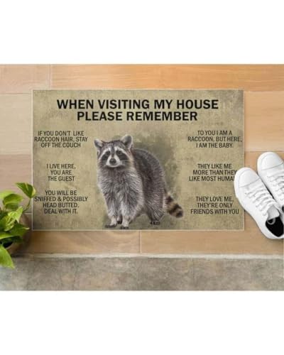 ���փ}�b�g ���̉Ƃ�K���ۂɂ͊o���Ă����Ă������� - �A���C�O�} 50×80cm doormat When Visiting My House Please Remember - Raccoon