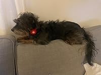 Review Image by Señorita Jamie