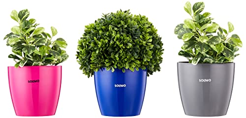 Khadi Pureus Herbals Shreekesha Red Onion Shampoo for Stronger Healthy Hair, Hair Fall Control, Hair Growth & Boost Scalp Health | Herbal Hair Cleanser with Ayurvedic properties & Pure Natural Ingredients for Women & Men (500 ml)