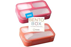 kinsho MINI Bento Box: Small Lunchbox for Little Appetites