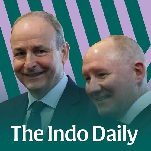 &lsquo;Publish and be damned&rsquo;: Fionn&aacute;n Sheehan on his side of the Jim Gavin report - and the reporting trail behind it all