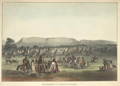 Tableaux graffiti art mural Karl Bodmer impression haute qualité