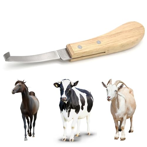 Generic - Ciseaux à sabots de chèvre - coupe-ongles pour moutons, coupe-sabots à bords tranchants en acier inoxydable Tondeuse à sabots avec manche en bois pour chevaux, moutons, chèvres et vaches Tondeuse à sa