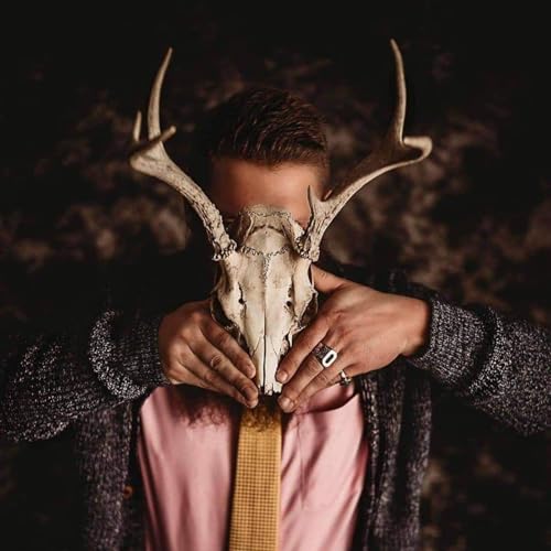 Entelechy: Underground cover art