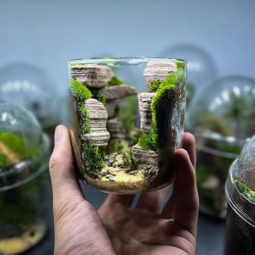 Image of Natural Rocks Pagoda Stones 1-2.5 Inches Decorative Rocks for Fairy Gardens,Miniature Landscaping,Bonsai,DIY Crafts, Aquariums & Reptile Terrariums-2lb
