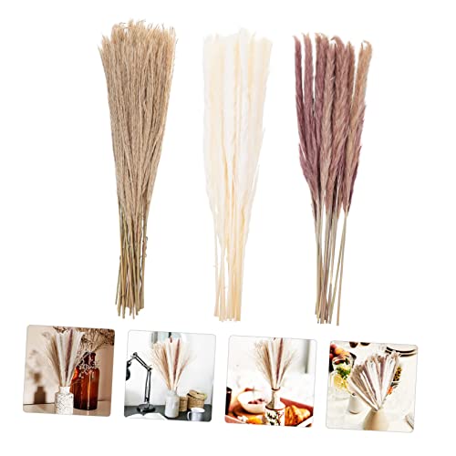 Luxshiny 300 Peças Flores de junco secas adereços de junco adereços de layout de palheta plantar dec