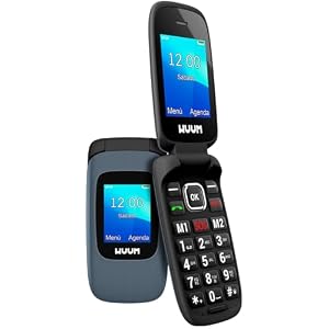 WUUM CLAP &ndash; Telefono Cellulare con sportello a doppio schermo | Tasti e numeri grandi | 2 Memorie dirette e Pulsante SOS | Bluetooth | Grande batteria 800mAh | USB-C (Titanium)