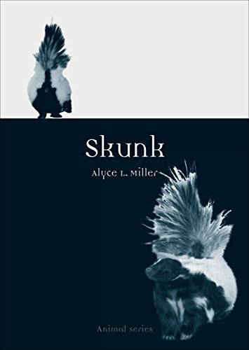 Skunk (Animal)