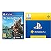 Biomutant PS4 & Sony PlayStation Plus, Carte d’abonnement de 1 mois, Code jeu à télécharger, Compte français