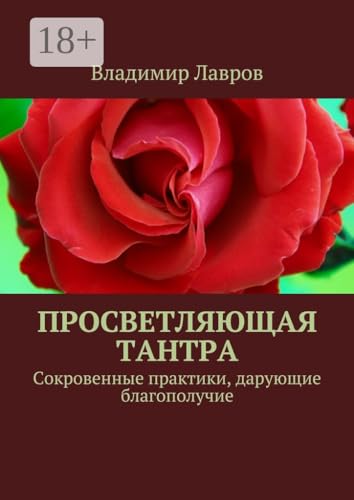 Просветляющая тантра: Сокровенные практики, дарующие благополучие (Russian Edition) - Лавров Владимир Сергеевич