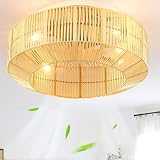 DWVO 18 Inch Boho Caged Ceiling Fan with Lights, Flush Mount Ceiling Fans with Remote, 6 Speeds, Reversible Blades, Enclosed Fan Lights for Living Room, Bedroom, Dining Room, Kitchen