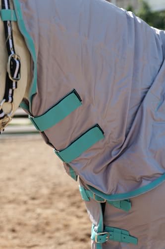 Image of LEAFOREST Horse Mesh Combo Fly Sheet with Adjustable Belly Guard and Detachable Neck Cover Lightweight and Breathable Protect Equines Gray 78 inch