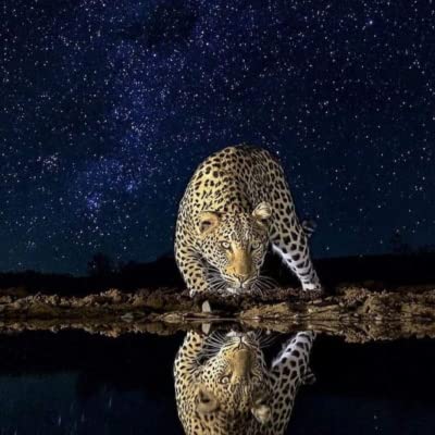 Especial literatura prehisp&aacute;nica Cuentos Hermanos 16 con Nayma Luna