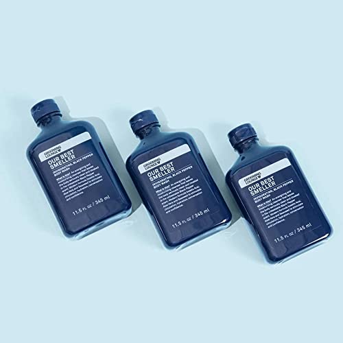 Grooming Lounge Our Best Smeller Body Wash - Moisturizing, Clarifying Travel Shower Scrub - Fresh, Classic, Suave Fragrance Of Acai, Aloe Vera, Seaweed, And Black Pepper - Dry Skin Defense - 3 Pack #TOP5
