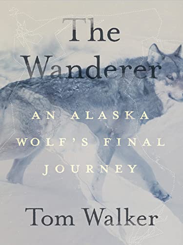 The Wanderer: An Alaska Wolf'S Final Journey