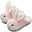 Pink Slipper