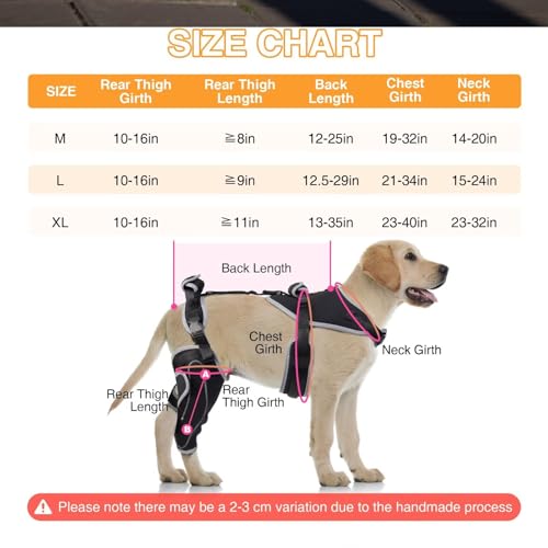 Image of Dog Knee Brace for ACL Tears and Patella Support-L Size-Right Leg | Adjustable Leg Support and Sufficient Breathability,Injury Recovery and Balance Assistance
