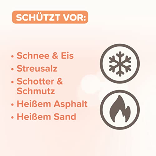 beaphar - Pfoten-Pflege Spray Für Hunde - Schützt Vor EIS, Schnee, Streusalz - Mit Propolis, Glycerin, Teebaumöl - Sanfte Und Geschmeidige Pfoten - Erhöht Die Widerstandsfähigkeit Der Pfoten - 150 ml