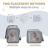 Petsfit Transporttasche Hunde und Katze, Katzentransportbox Hunde Katze Flugtasche für Haustiere im Auto Flugzeug oder in der Bahn