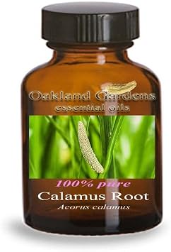 CALAMUS ROOT Essential Oil 30 mL Euro Dropper - 100% PURE Therapeutic Grade Essential Oil - Acorus calamus - Essential Oil By Oakland Gardens