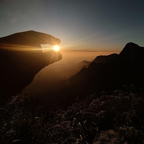 『Tedz talk』のカバーアート