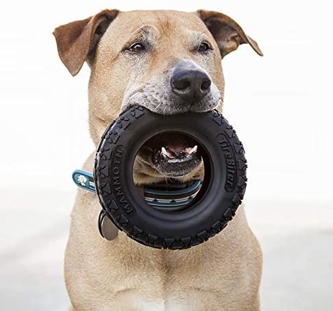 TireBiters Kauspielzeug, mittelgroß, extrastark, Schwarz, 20,3 cm, Limited edition Cover