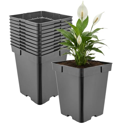 Garronda Maceta de plástico Alta 18 x 18 x 21,5 cm (5 L) Set de 10 Cuadrada con Orificios de Drenaje Maceta de PP para jardín Invernadero balcón Cultivo Interior y Exterior Negro GD-0201