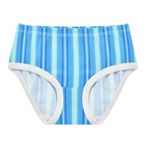 Blue Stripe Toddler Girls's Underwear 2T 2300900