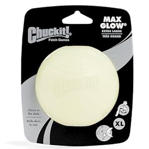 Chuckitglowinthedarkbouncyballsballfordogschuckitdogtoymaxglowballsmedium25inchpackof4 Urban Country Home Decor Chuckit glow in the dark bouncy balls ball for dogs chuckit dog toy max glow balls medium 25 inch pack of 4 urban country home decor
