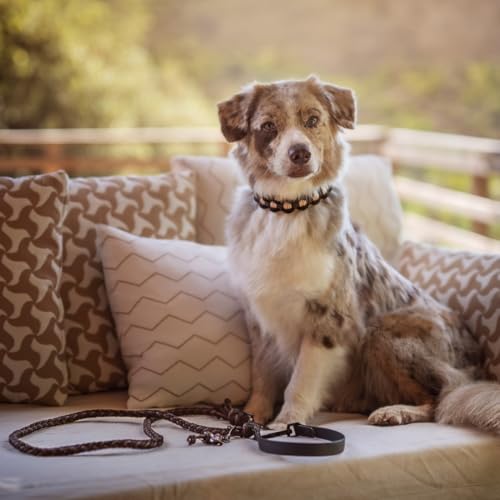 Ben&Bruno Hundehalsband | Breit & Verstellbar | 100% Handgefertigt | Robust, Sicher & Langlebig | Starkes Paracord Halsband | Halsbänder für Kleine, Mittelgroße & Große Hunde | Weiß - L
