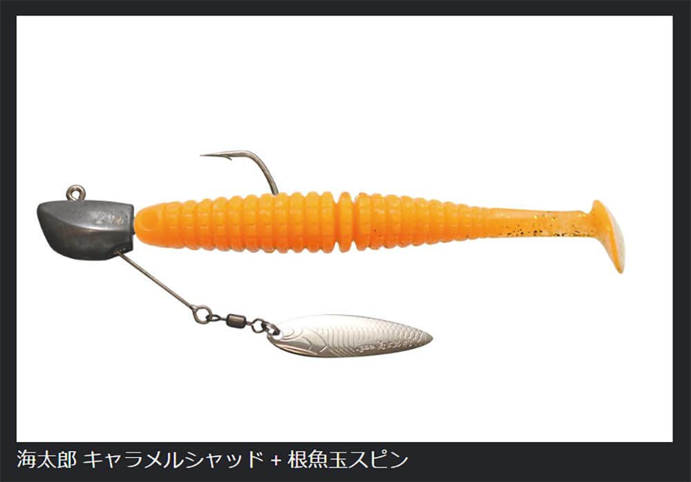 Amazon.co.jp: イッセイ海太郎(Issei Umitaro) キャラメルシャッド 4