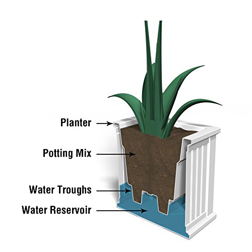 Mayne Cape Cod 20In Square Planter - Black - 20In L X 20In W X 20In H - With 8.7 Gallon Built-In Water Reservoir (4838-B) #TOP4