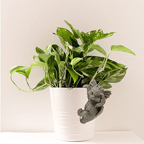 Songhut Planter Pot Hanger, Resin Hanging Dragon Statue Planter Hanger Dragon Sculpture Pot Huggers Dragon Figurines Garden Statues Animal Garden Figures Decoration For Garden Yard(4 Pcs) #TOP5