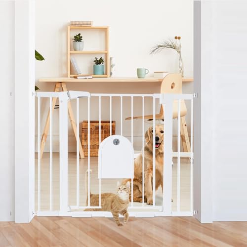 Top 10 Best Through Wall Pet Door Reviews & Buying Guide Katynel