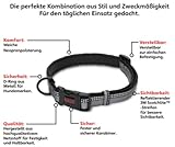 HALTI Komforthalsband - Hundehalsband mit Neoprenpolsterung, 3M-Reflektorgewebe und verstellbarer Riemen. Geeignet für mittelgroße Hunde (Größe M, Schwarz)