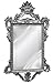 Hickory Manor House 8240SH Templar Mirror/Shimmer