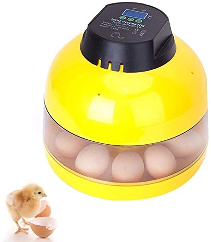 SYue Egg Incubator 10 Eggs Mini Digital For Chicken Goose Duck Poultry Hatcher With Egg Tray Experimental Education