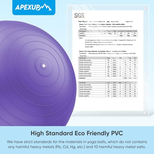 Image of APEXUP Yoga Ball, 660 lbs Anti-Burst Exercise Ball with Pump, 5 Sizes