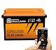 Liontron LiFePO4 12,8V 200Ah LX mit BMS und Bluetooth für Wohnmobile und Boote