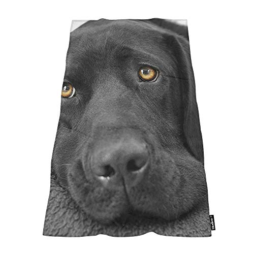 Moslion Soft Bath Towels Black lab Labrador Comfy Bathing/Beach/Camping Towel for Women Men Girls Boys Large Size 64x32 Inches