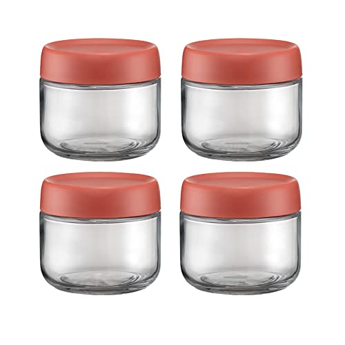 SkVLf Juego de 4 botes de vidrio transparente para almacenamiento de alimentos - Tarros aptos para lavavajillas para despensa - Ideal para azúcar, té, café, especias y hierbas