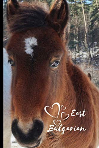 East Bulgarian Horse Notebook For Horse Lovers: Composition Notebook 6x9" Blank Lined Journal