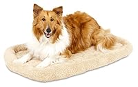 Algopix Similar Product 18 - Aspen Pet Bolster Style Kennel Mat