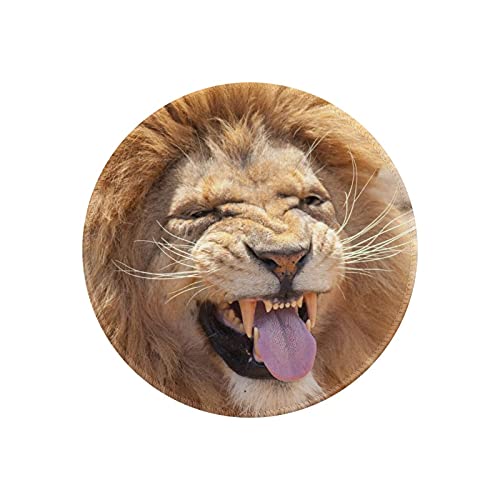 }EXpbh ی^ CI   h ~ S Q[~O}EXpbh m[gp\R PC Eh}EXpbh fXN}bg ϋvǂ ItBXp rWlXp ƒp Q[p ~` 20cm