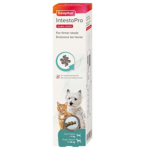 Beaphar – IntestoPro Prebiotic Stool Firming Paste for Cats and Small Dogs (<15kg) – Natural Active Ingredients – Aids digestive upsets and diarrhoea - Supports Healthy Gut Function – 1 syringe
