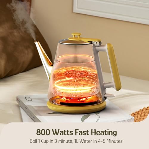 Image of Hazel Quinn Electric Kettle - 1L /34oz Small Tea Kettle, 800W Fast Boil, All 304 Stainless Steel Interior, Double Wall for Cool Touch and Thermal, Auto Shut-Off, BPA-Free, Cordless - Floral Printed